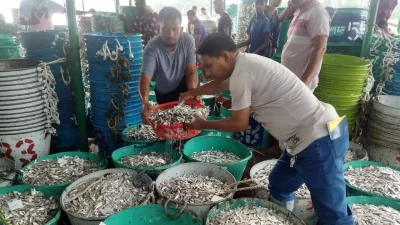 নিষেধাজ্ঞা শেষ হওয়ার পর রাঙ্গামাটির কাপ্তাই হ্রদে প্রথম দিন ধরা পড়েছে প্রচুর মাছ। ইমেজ: একাত্তর