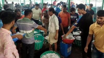 মাছ ব্যবসায়ীদের আনাগোনায় মুখরিত রাঙ্গামাটির বিএফডিসির অবতরণ ঘাট। ইমেজ: একাত্তর