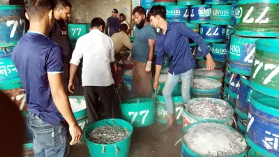 কাপ্তাই হ্রদে মাছ আহরণের পর ব্যস্ত সময় পার করছেন মাছ ব্যবসায়ীরা। ইমেজ: একাত্তর