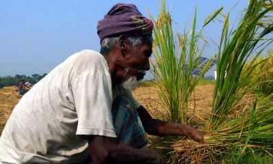 ইমেজ: একাত্তর