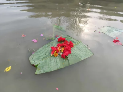 Biju 3
