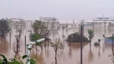 কিংইয়ুয়ান শহরের বেইজিয়াং নদীর তীর ঘেঁষে বন্যার পানিতে গাছ ডুবে আছে। ছবি: বিবিসি/গেটি ইমেজ।