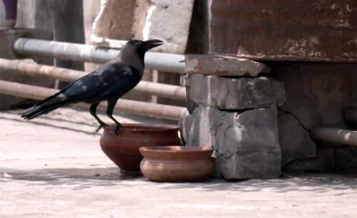 ছবি: একাত্তর