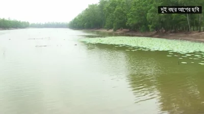 দুই বছর আগের আলতাদীঘি।