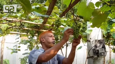 উদ্যোক্তা জলিল মিয়া।