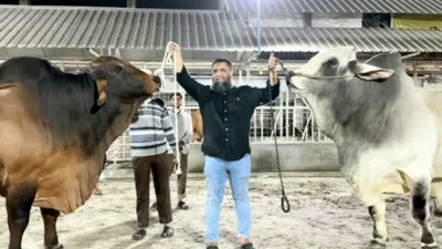 সাদিক অ্যাগ্রোতে ইমরান।