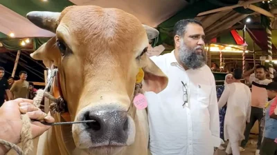 সাদিক অ্যাগ্রোতে ইমরান।
