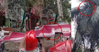 ছবি: সংগৃহীত
