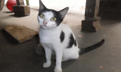 ছবি: বাসস
