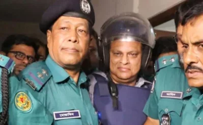 ছবি সংগৃহীত