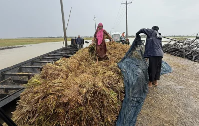 হাওরের মানুষের কাছে ধানই একমাত্র জীবন-জীবিকা ছবি: মোবারক হোসেন শুভ