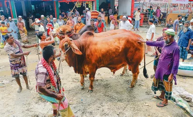 ছবি: সংগৃহীত