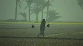 মৃদু শৈত্যপ্রবাহে কাঁপছে পঞ্চগড়