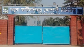 ইঁদুরে তার কাটায় ব্ল্যাকআউট, যমুনাতে সার উৎপাদন বন্ধ