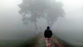 বাংলার জমিনজুড়ে হেমন্তের স্তুতি, শীতের আগমনী বার্তা