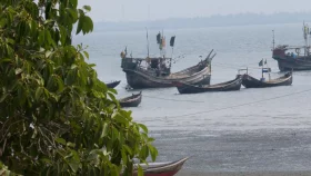টেকনাফ সীমান্তে আরাকান আর্মির গুলি, বাংলাদেশি দুই কিশোর আহত