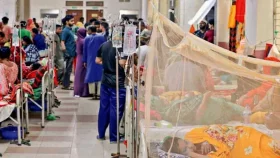 ডেঙ্গুতে একদিনে আরও ৯ মৃত্যু, হাসপাতালে ভর্তি দেড় হাজারের বেশি