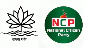 শাপলা প্রতীক পাচ্ছে না এনসিপি