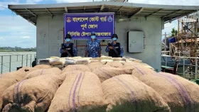 মিয়ানমারে পাচারকালে আলু জব্দ