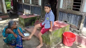 গোপালগঞ্জে &lsquo;পাগলা কুকুর&rsquo; আতঙ্ক