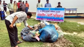 রাজবাড়ীতে ১৬ জেলের ১৫ দিনের কারাদণ্ড