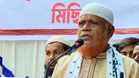 বিএনপি ছাড়া সব রাজনৈতিক দল পিআর চায়: জামায়াত নেতা বুলবুল