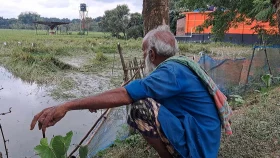 চাঁপাইনবাবগঞ্জে রেকর্ড বৃষ্টিতে ফসলের ব্যাপক ক্ষতি