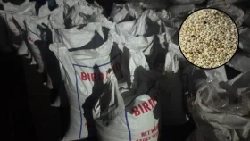 চট্টগ্রাম বন্দরে সাড়ে ছয় কোটি টাকার নিষিদ্ধ &lsquo;পপি সিড&rsquo; জব্দ