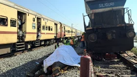 আসামে ট্রেনের ধাক্কায় সাত হাতির মৃত্যু, লাইনচ্যুত ইঞ্জিনসহ পাঁচ বগি