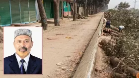 গাছ কেটে রাস্তা তৈরি করা সেই বহিস্কৃত বিএনপি নেতা গ্রেপ্তার