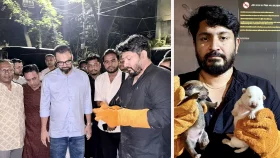 মাঝরাতে ম্যানহোল থেকে পাঁচ কুকুর ছানা উদ্ধার করলেন ক্রীড়া প্রতিমন্ত্রী ও বাওয়া