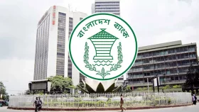 গ্রামীণ শিল্পের সবুজায়নে ১০০০ কোটি টাকার বিশেষ তহবিল&nbsp;