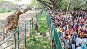 ঈদের আমেজ কাটেনি মিরপুরে, চিড়িয়াখানা ও উদ্ভিদ উদ্যানে দর্শনার্থীদের উপচে পড়া ভিড়