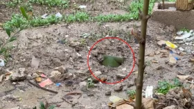 ইরানের শান্ত এক গ্রামে মার্কিন &lsquo;অ্যান্টি-ট্যাঙ্ক মাইন&rsquo; বর্ষণ