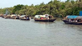 বাঘ-কুমিরের চেয়েও বড় আতঙ্ক বনদস্যু, সুন্দরবনে মধু আহরণ নিয়ে অনিশ্চয়তা