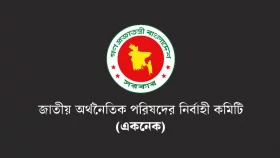 নতুন সরকারের প্রথম একনেক সভা শুরু, ১৭ প্রকল্প নিয়ে পর্যালোচনা