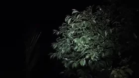 ঠাকুরগাঁওয়ে গভীর রাতে কালবৈশাখীর তাণ্ডব, লণ্ডভণ্ড ঘরবাড়ি ও ফসল