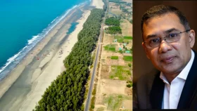 প্রধানমন্ত্রীর নির্দেশে রক্ষা পেল মেরিন ড্রাইভের তিন হাজার গাছ