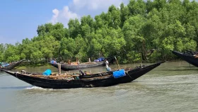 সুন্দরবনে জাহাঙ্গীর বাহিনীর হানা, ট্রলারসহ ১২ জেলে অপহরণ