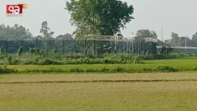 সীমান্তে আবারও অবৈধভাবে কাঁটাতার বসানোর চেষ্টা বিএসএফের, বিজিবির বাধা
