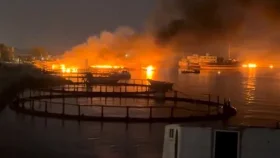 মধ্যপ্রাচ্যের তিন দেশে ইরানের নজিরবিহীন ড্রোন হামলা অব্যাহত