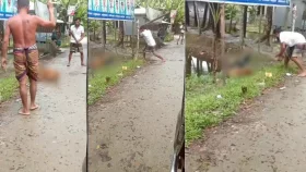 খুঁটিতে বেঁধে কুকুর পিটিয়ে হত্যায় আসামি দুই, গ্রেপ্তারি পরোয়ানা