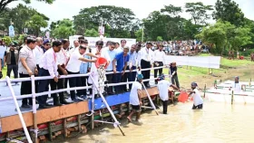 ব্রহ্মপুত্র নদে মাছের পোনা অবমুক্ত করলেন প্রধানমন্ত্রী