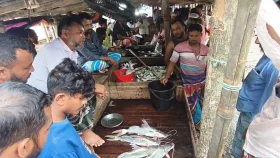 মাছের রাজ্যেই মাছের আকাল, দুশ্চিন্তায় জেলে-ব্যবসায়ীরা