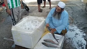 বেনাপোল দিয়ে ভারত থেকে এলো সাড়ে তিন লাখ কেজি ইলিশ
