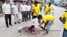জলাতঙ্ক ঠেকাতে কসবায় পথকুকুর-বিড়ালকে গণটিকা