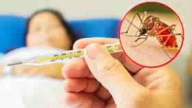 ডেঙ্গুর ভয়াবহ থাবায় আরও ১১ মৃত্যু, নতুন আক্রান্ত দুই হাজার ছাড়ালো