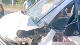 আনন্দ ভ্রমণে বান্দরবান আর যাওয়া হলো না পরিবারটির