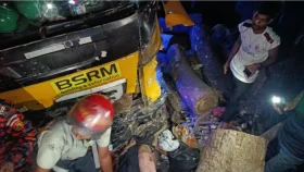দাঁড়িয়ে থাকা যাত্রীদের ওপর উঠে গেল লরি, নিহত পাঁচ