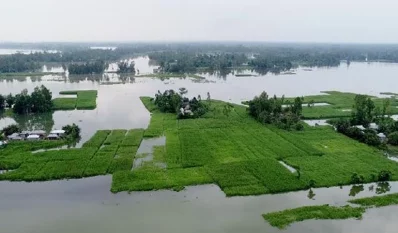 কুড়িগ্রাম-২ আসনে তিন দলের মধ্যেই তীব্র কোন্দল। ইমেজ- একাত্তর 